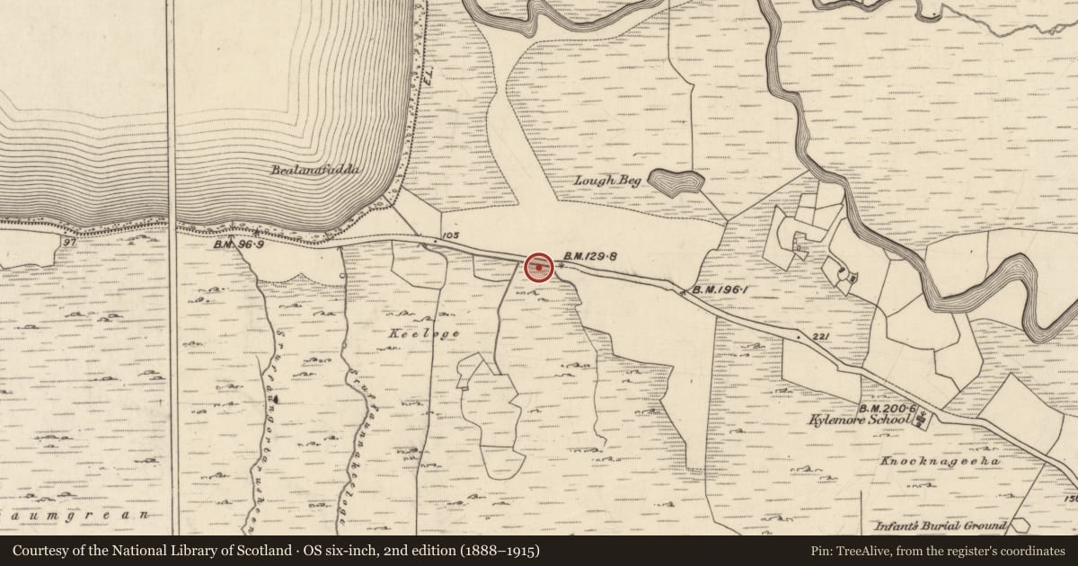 Ordnance Survey six-inch map, 2nd edition (1888–1915) covering the location of Ritual site - holy well, Kylemore, County Galway, with a pin at the register's coordinates