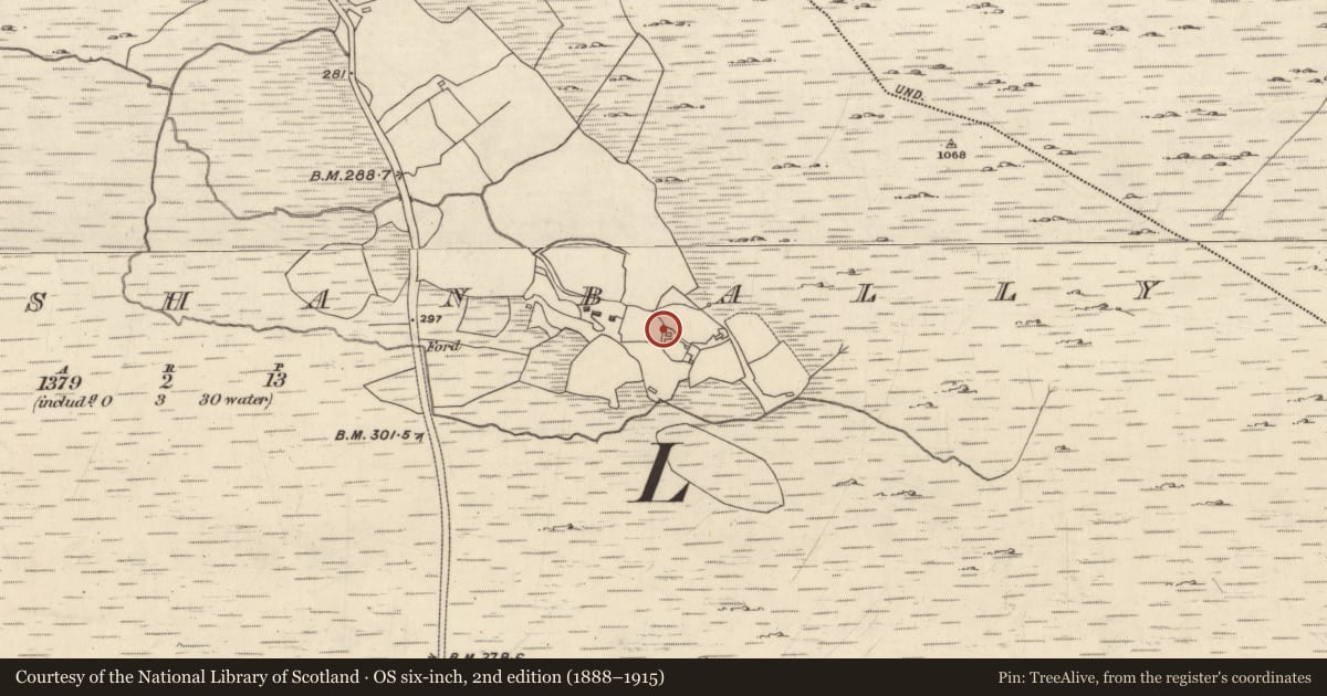 Ordnance Survey six-inch map, 2nd edition (1888–1915) covering the location of Settlement cluster, Lettershanbally, County Galway, with a pin at the register's coordinates