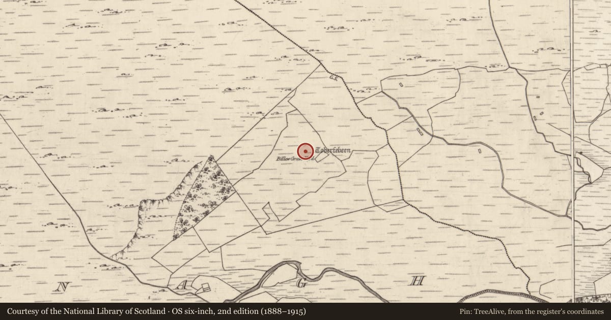 Ordnance Survey six-inch map, 2nd edition (1888–1915) covering the location of Ritual site - holy well, An Camanach, County Galway, with a pin at the register's coordinates