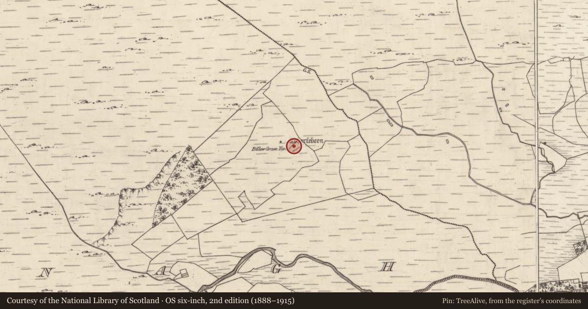 Ordnance Survey six-inch map, 2nd edition (1888–1915) covering the location of Children's burial ground, An Camanach, County Galway, with a pin at the register's coordinates