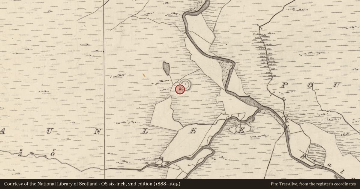 Ordnance Survey six-inch map, 2nd edition (1888–1915) covering the location of Ringfort - rath, Gowlaunlee, County Galway, with a pin at the register's coordinates