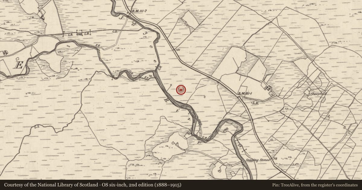 Ordnance Survey six-inch map, 2nd edition (1888–1915) covering the location of Ringfort - cashel, Na Grigíneacha, County Galway, with a pin at the register's coordinates
