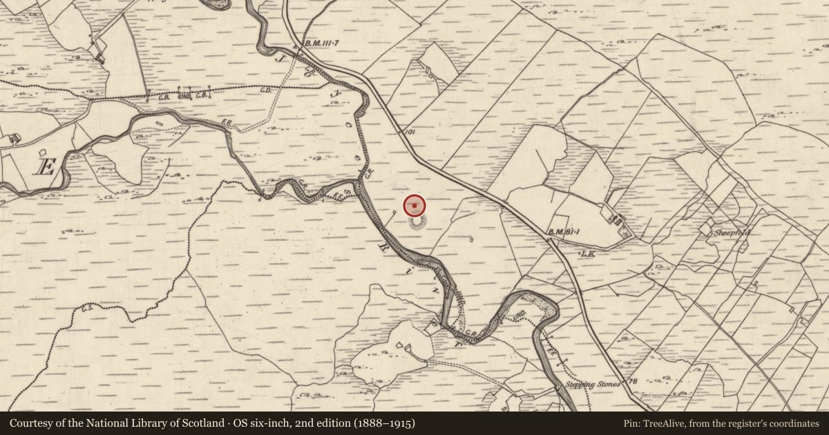 Ordnance Survey six-inch map, 2nd edition (1888–1915) covering the location of House - indeterminate date, Na Grigíneacha, County Galway, with a pin at the register's coordinates