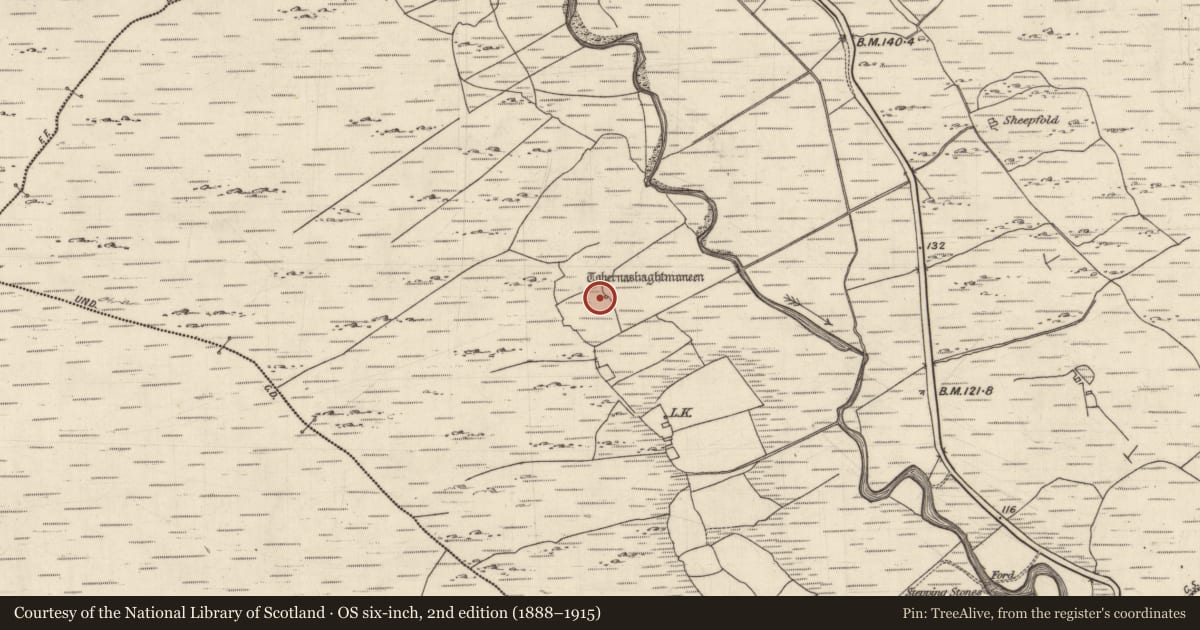 Ordnance Survey six-inch map, 2nd edition (1888–1915) covering the location of Ritual site - holy well, Muintir Eoghain Thoir, County Galway, with a pin at the register's coordinates