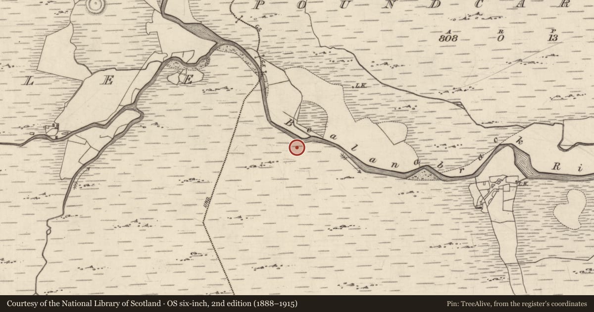 Ordnance Survey six-inch map, 2nd edition (1888–1915) covering the location of Fulacht fia, Cartrún An Phóna, County Galway, with a pin at the register's coordinates