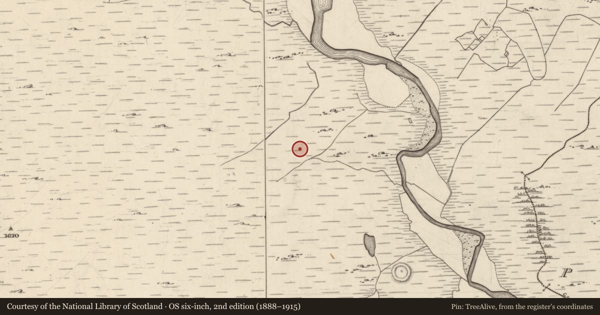 Ordnance Survey six-inch map, 2nd edition (1888–1915) covering the location of Children's burial ground, Gowlaunlee, County Galway, with a pin at the register's coordinates