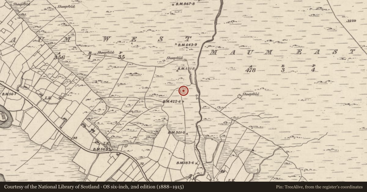 Ordnance Survey six-inch map, 2nd edition (1888–1915) covering the location of Ringfort - cashel, An Mám Thiar, County Galway, with a pin at the register's coordinates