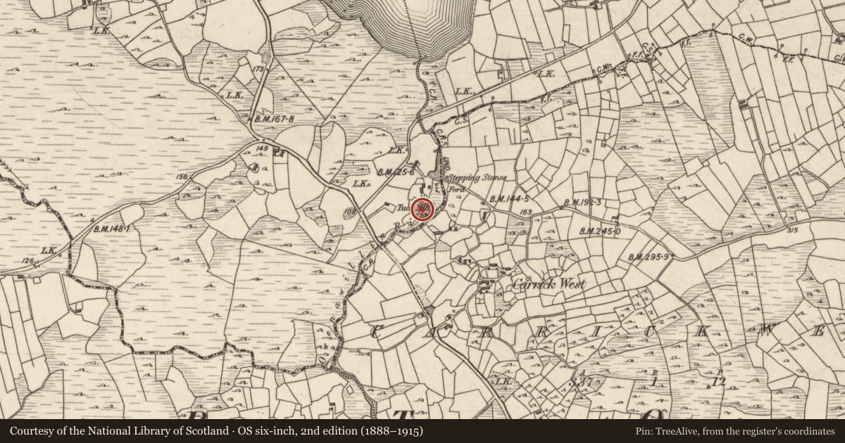 Ordnance Survey six-inch map, 2nd edition (1888–1915) covering the location of Water mill - unclassified, Teeranea, County Galway, with a pin at the register's coordinates