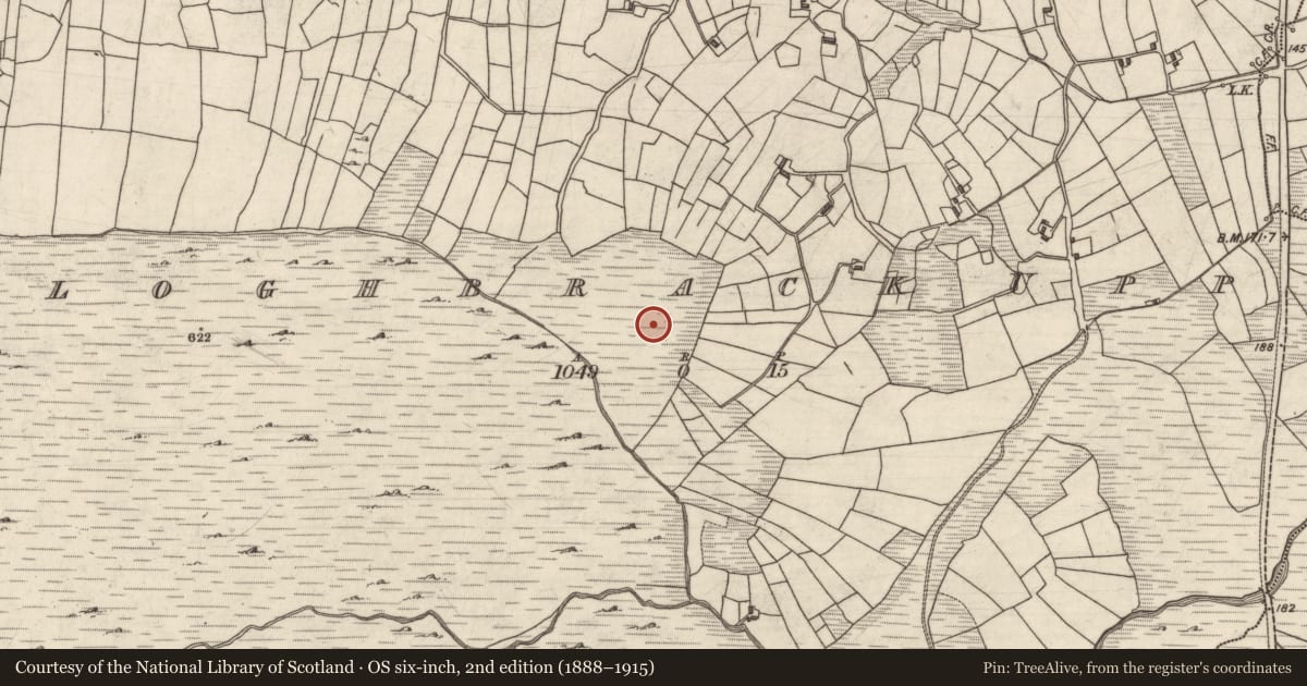 Ordnance Survey six-inch map, 2nd edition (1888–1915) covering the location of Standing stone, An Chloch Bhreac Uachtair, County Galway, with a pin at the register's coordinates