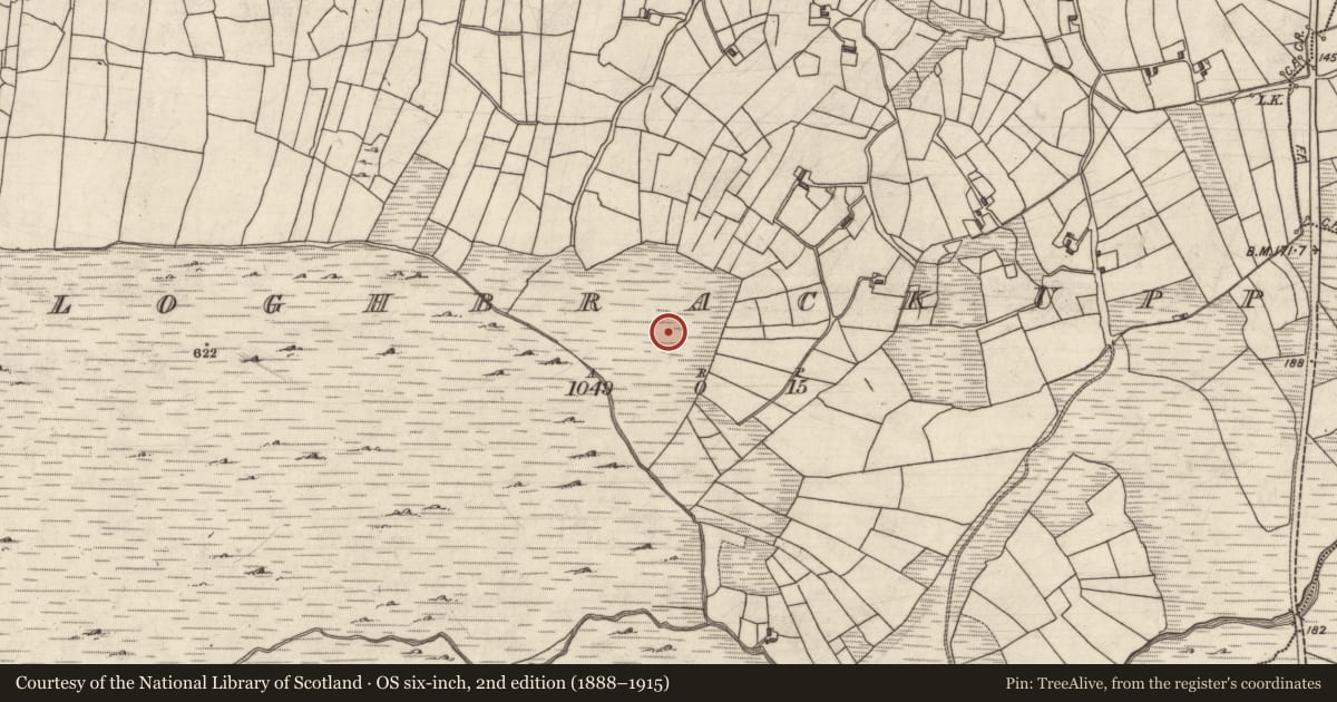 Ordnance Survey six-inch map, 2nd edition (1888–1915) covering the location of Enclosure, An Chloch Bhreac Uachtair, County Galway, with a pin at the register's coordinates