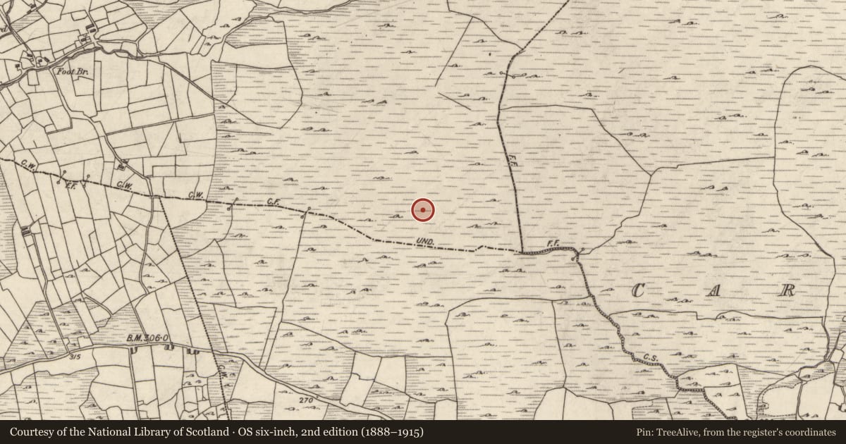 Ordnance Survey six-inch map, 2nd edition (1888–1915) covering the location of Standing stone, Baile Dhúlocha, County Galway, with a pin at the register's coordinates