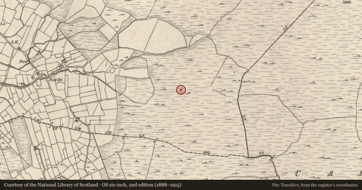 Ordnance Survey six-inch map, 2nd edition (1888–1915) covering the location of Hut site, Baile Dhúlocha, County Galway, with a pin at the register's coordinates