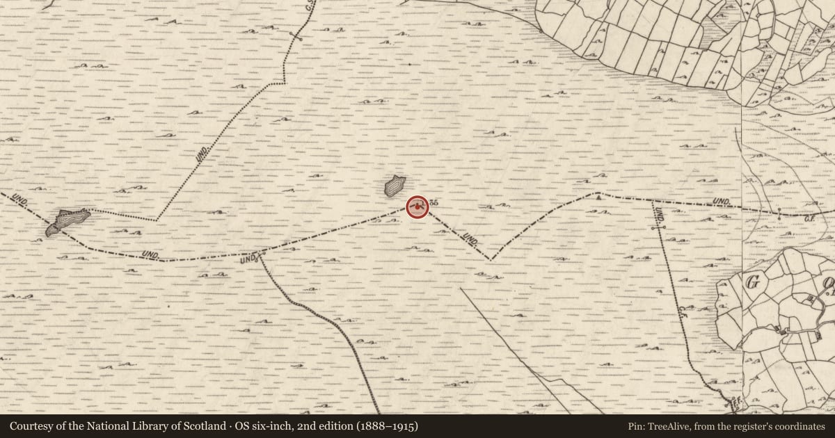 Ordnance Survey six-inch map, 2nd edition (1888–1915) covering the location of Cairn - unclassified, An Baile Ard, Ballyweeaun, County Galway, with a pin at the register's coordinates