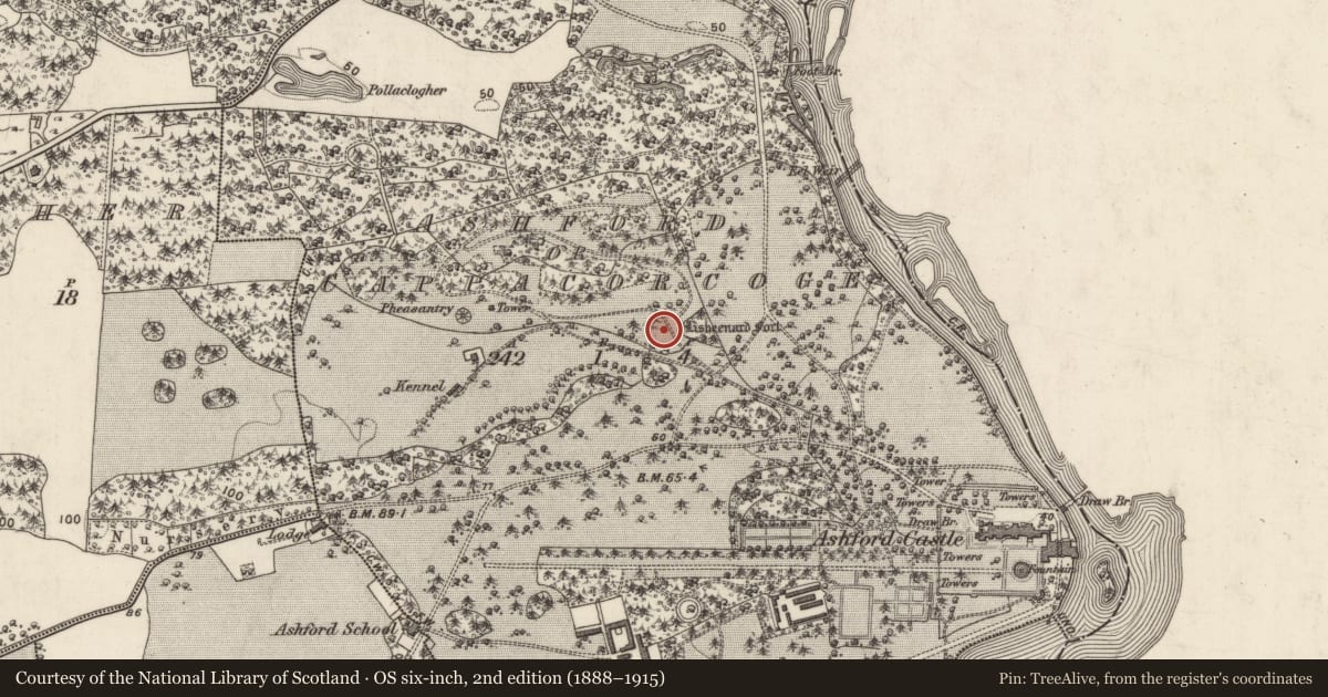 Ordnance Survey six-inch map, 2nd edition (1888–1915) covering the location of Ringfort - rath, Ceapach Chorcóige Thoir, County Galway, with a pin at the register's coordinates