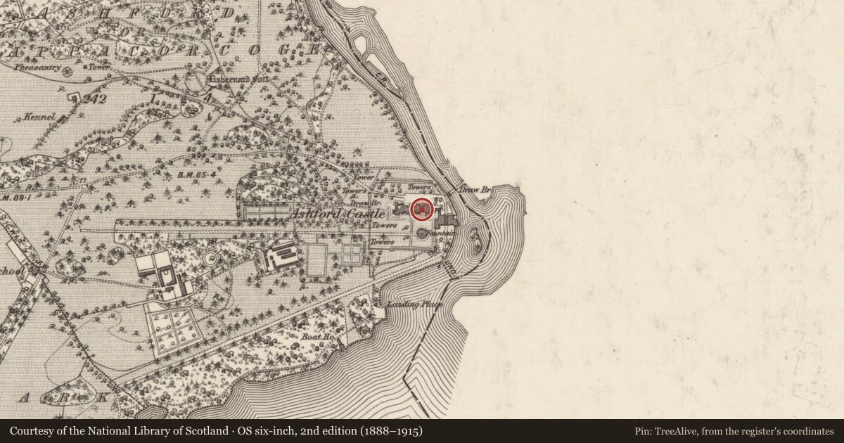 Ordnance Survey six-inch map, 2nd edition (1888–1915) covering the location of Country house, Ceapach Chorcóige Thoir, County Galway, with a pin at the register's coordinates