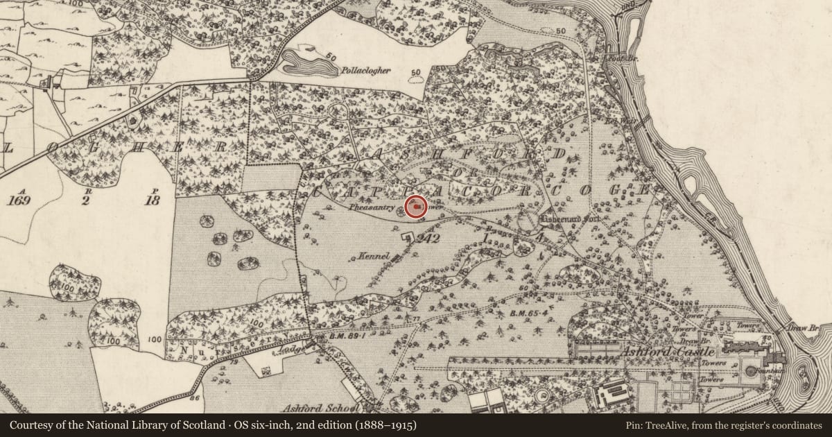 Ordnance Survey six-inch map, 2nd edition (1888–1915) covering the location of Designed landscape - folly, Ceapach Chorcóige Thoir, County Galway, with a pin at the register's coordinates