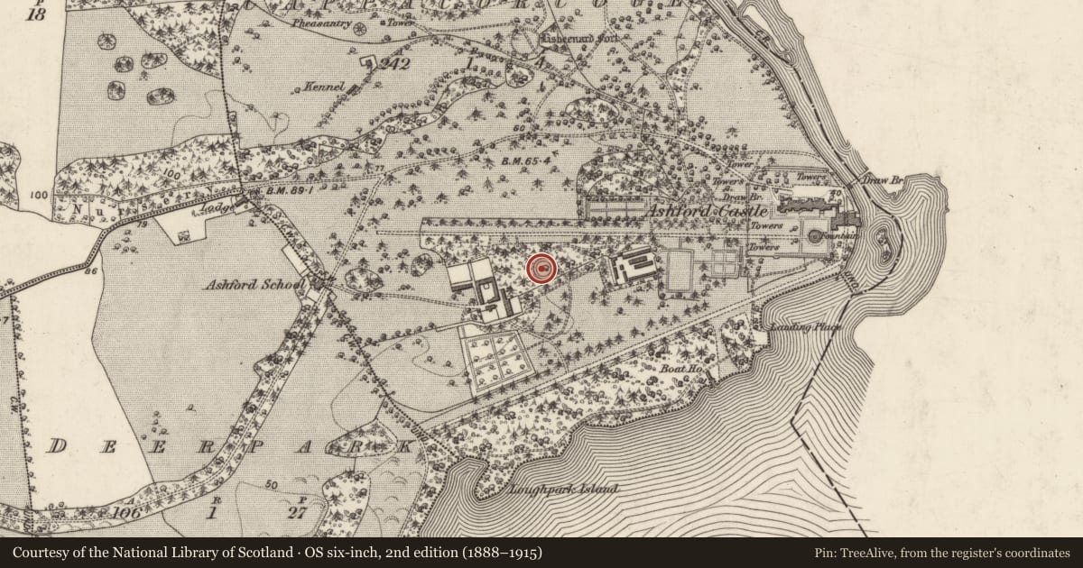 Ordnance Survey six-inch map, 2nd edition (1888–1915) covering the location of Designed landscape - tree-ring, Ceapach Chorcóige Thoir, County Galway, with a pin at the register's coordinates