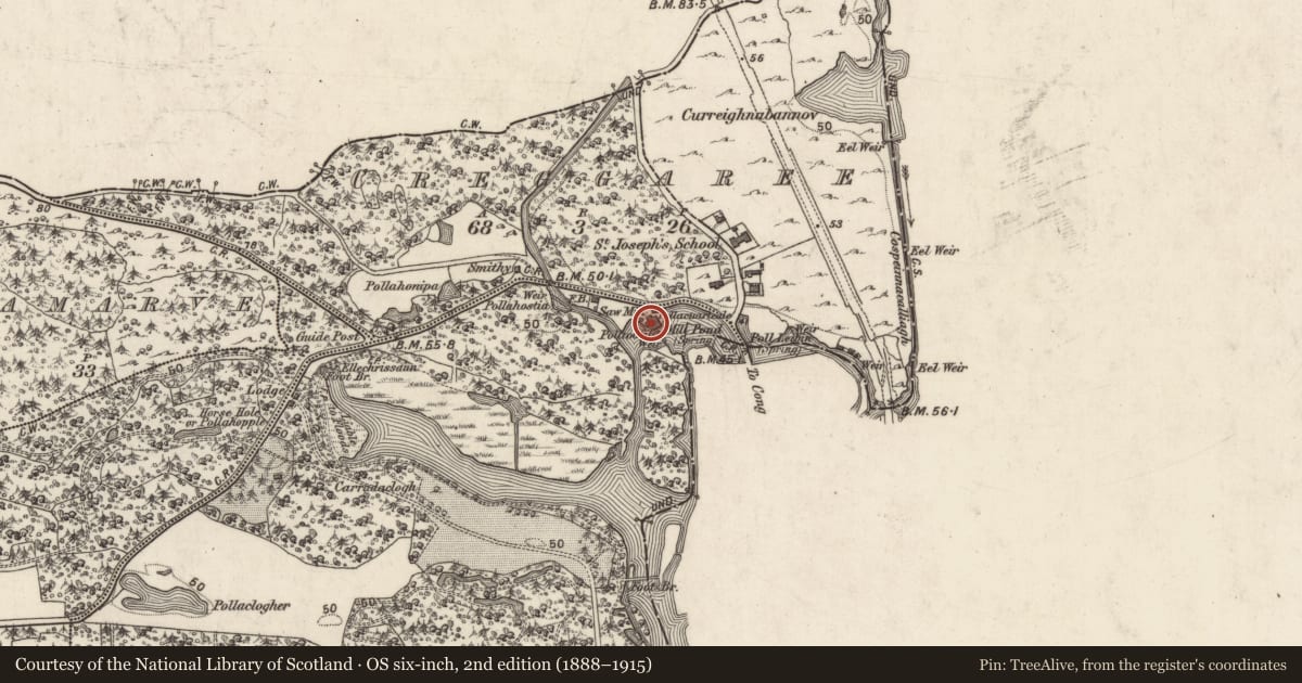 Ordnance Survey six-inch map, 2nd edition (1888–1915) covering the location of Mill - sawmill, Ceapach Chorcóige Thoir, County Galway, with a pin at the register's coordinates