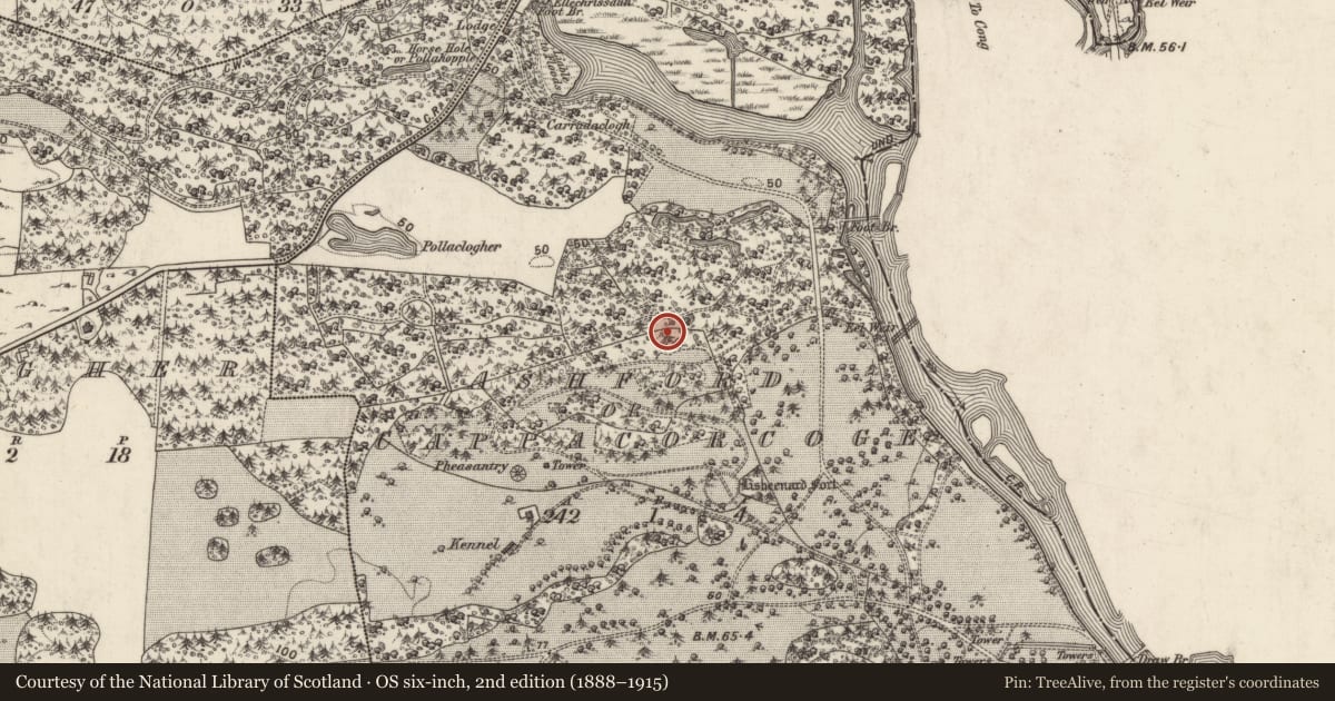 Ordnance Survey six-inch map, 2nd edition (1888–1915) covering the location of Building, Ceapach Chorcóige Thoir, County Galway, with a pin at the register's coordinates