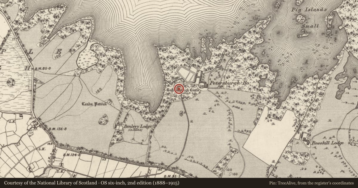 Ordnance Survey six-inch map, 2nd edition (1888–1915) covering the location of Castle - unclassified, Ceapach Na Gcapall, County Galway, with a pin at the register's coordinates
