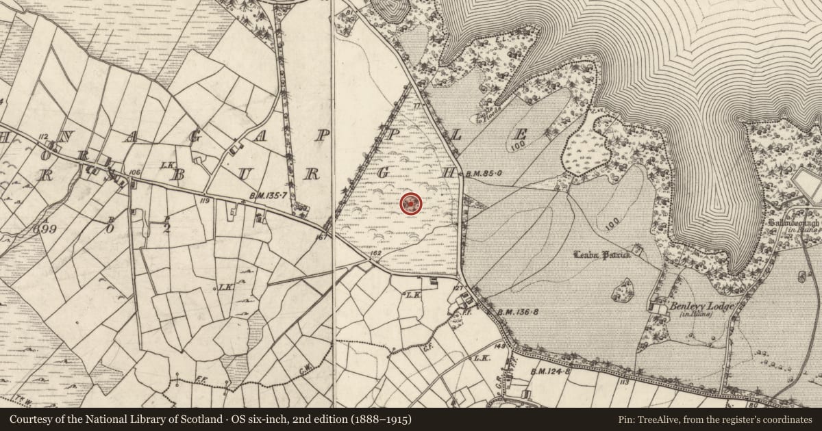 Ordnance Survey six-inch map, 2nd edition (1888–1915) covering the location of Enclosure, Ceapach Na Gcapall, County Galway, with a pin at the register's coordinates