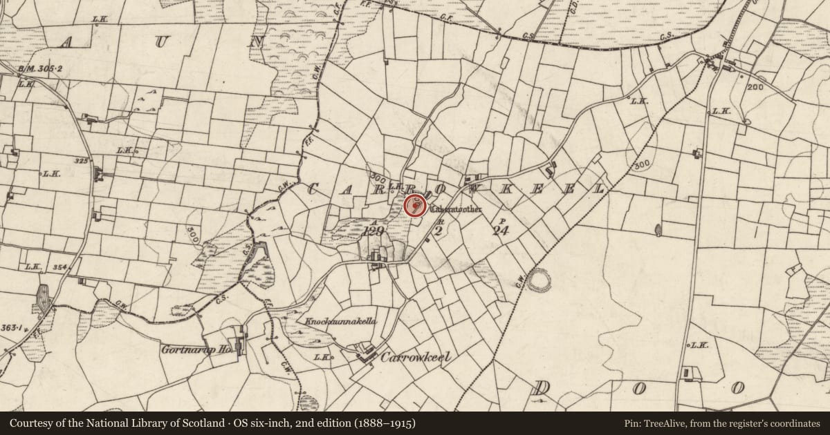 Ordnance Survey six-inch map, 2nd edition (1888–1915) covering the location of Ringfort - cashel, An Cheathrú Chaol, County Galway, with a pin at the register's coordinates
