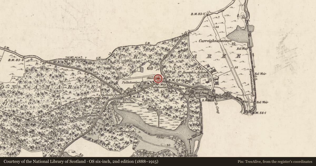Ordnance Survey six-inch map, 2nd edition (1888–1915) covering the location of Forge, Creig An Rí, County Galway, with a pin at the register's coordinates