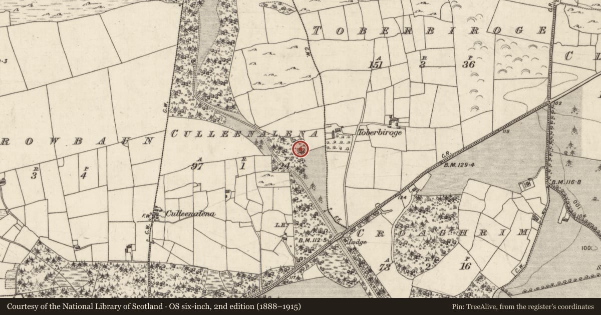 Ordnance Survey six-inch map, 2nd edition (1888–1915) covering the location of Ringfort - rath, Coillín An Léana, County Galway, with a pin at the register's coordinates