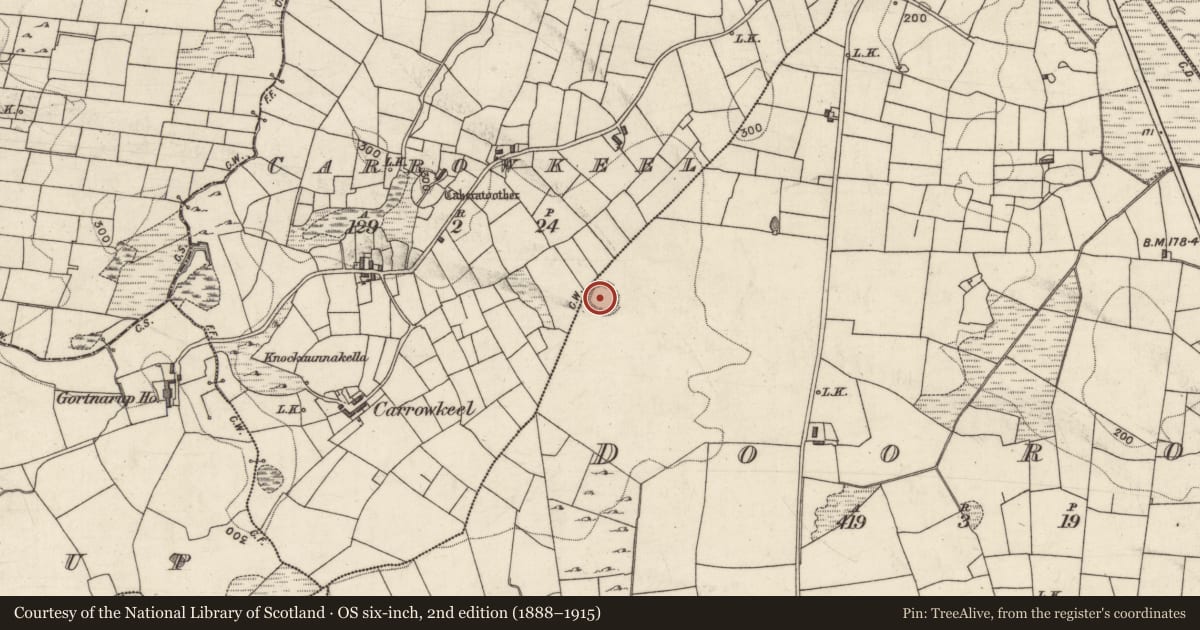 Ordnance Survey six-inch map, 2nd edition (1888–1915) covering the location of Ringfort - rath, Dúráithe, County Galway, with a pin at the register's coordinates