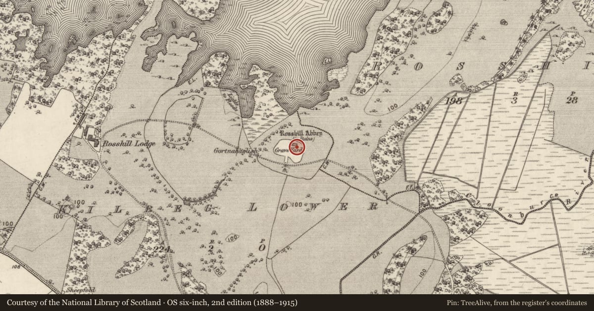 Ordnance Survey six-inch map, 2nd edition (1888–1915) covering the location of Church, An Choill Bheag Íochtair, County Galway, with a pin at the register's coordinates