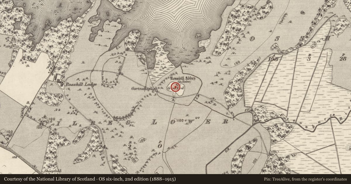Ordnance Survey six-inch map, 2nd edition (1888–1915) covering the location of Graveyard, An Choill Bheag Íochtair, County Galway, with a pin at the register's coordinates