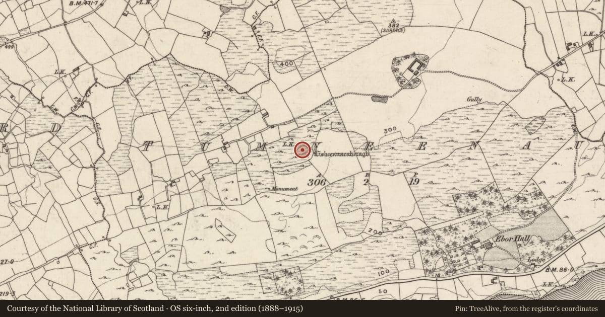 Ordnance Survey six-inch map, 2nd edition (1888–1915) covering the location of Children's burial ground, Tom Naíonán, County Galway, with a pin at the register's coordinates