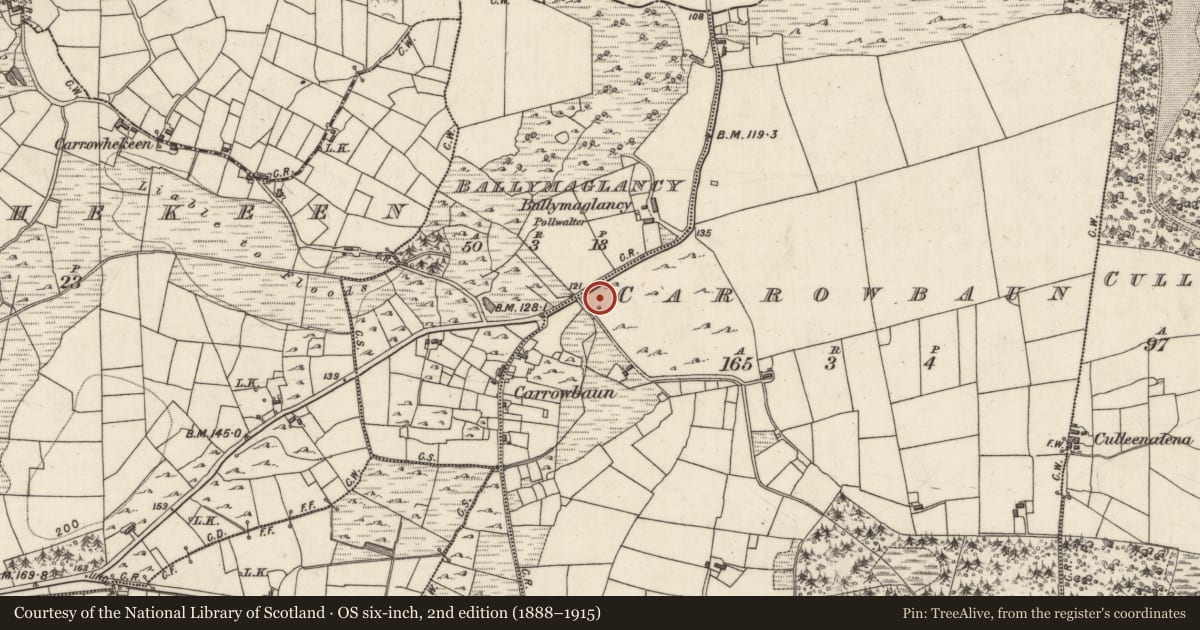 Ordnance Survey six-inch map, 2nd edition (1888–1915) covering the location of Fulacht fia, An Cheathrú Bhán, County Galway, with a pin at the register's coordinates