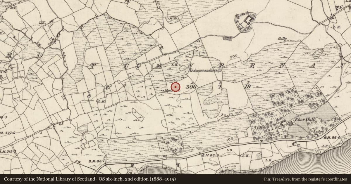 Ordnance Survey six-inch map, 2nd edition (1888–1915) covering the location of Ringfort - cashel, Tom Naíonán, County Galway, with a pin at the register's coordinates