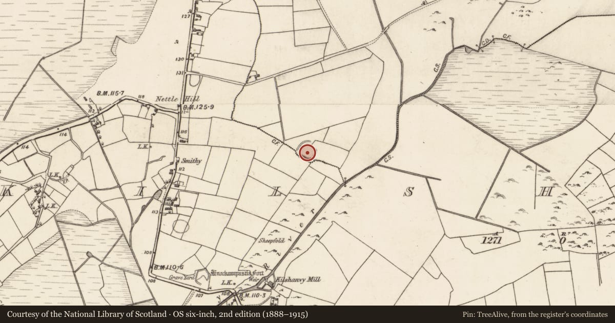 Ordnance Survey six-inch map, 2nd edition (1888–1915) covering the location of Ringfort - rath, Ardour, Kilshanvy, County Galway, with a pin at the register's coordinates