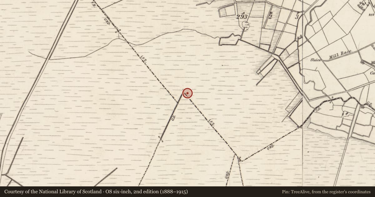 Ordnance Survey six-inch map, 2nd edition (1888–1915) covering the location of Boundary mound, Ardrumkilla, Boadaun, County Galway, with a pin at the register's coordinates