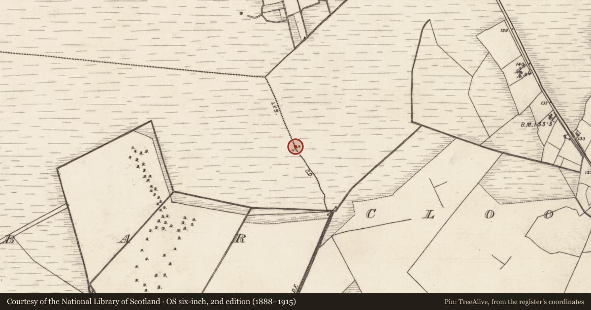 Ordnance Survey six-inch map, 2nd edition (1888–1915) covering the location of Boundary mound, Cloonbar, Cloonnaglasha, County Galway, with a pin at the register's coordinates