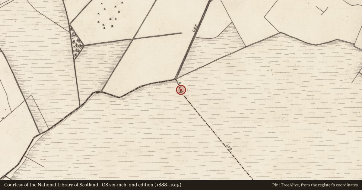 Ordnance Survey six-inch map, 2nd edition (1888–1915) covering the location of Boundary mound, Cloonnaglasha, County Galway, with a pin at the register's coordinates