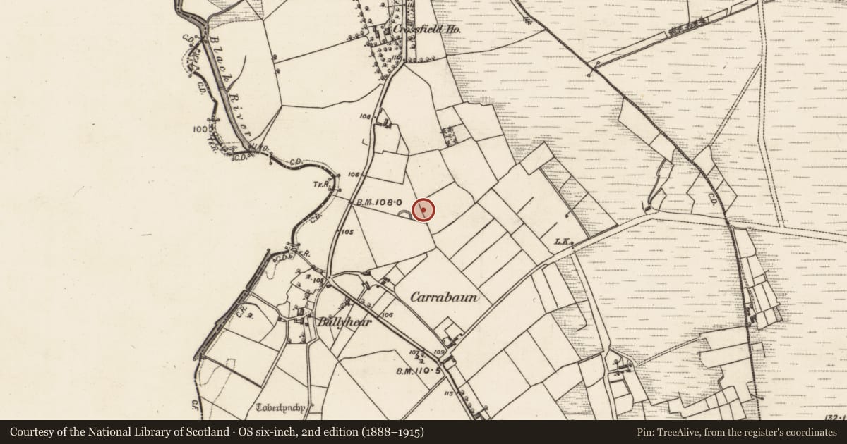 Ordnance Survey six-inch map, 2nd edition (1888–1915) covering the location of Ringfort - rath, Cloonsheen, County Galway, with a pin at the register's coordinates