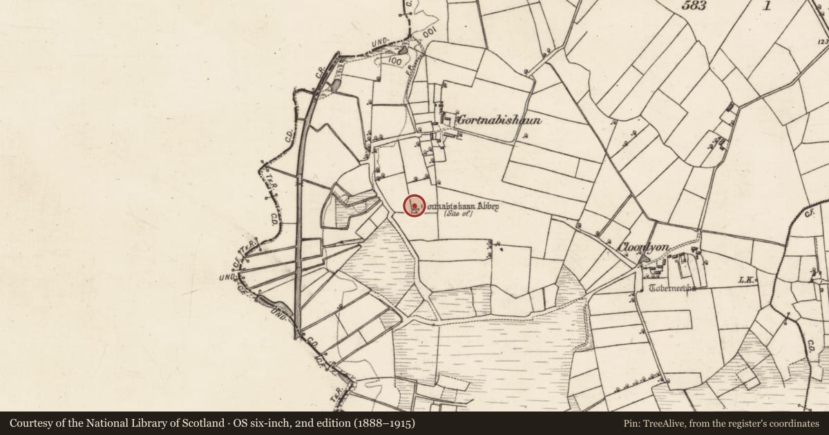 Ordnance Survey six-inch map, 2nd edition (1888–1915) covering the location of Ecclesiastical enclosure, Cloonsheen, County Galway, with a pin at the register's coordinates