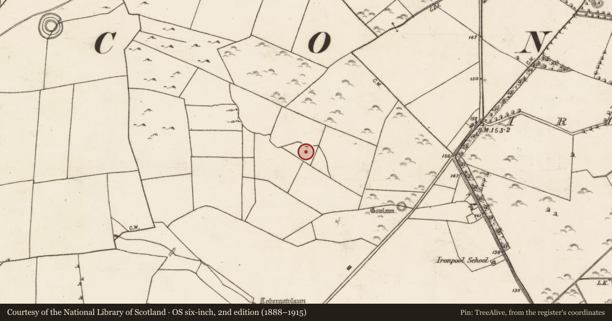 Ordnance Survey six-inch map, 2nd edition (1888–1915) covering the location of Field system, Cloonteen, County Galway, with a pin at the register's coordinates