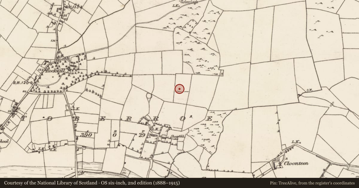 Ordnance Survey six-inch map, 2nd edition (1888–1915) covering the location of Field system, Cloonteen, Toberroe, County Galway, with a pin at the register's coordinates