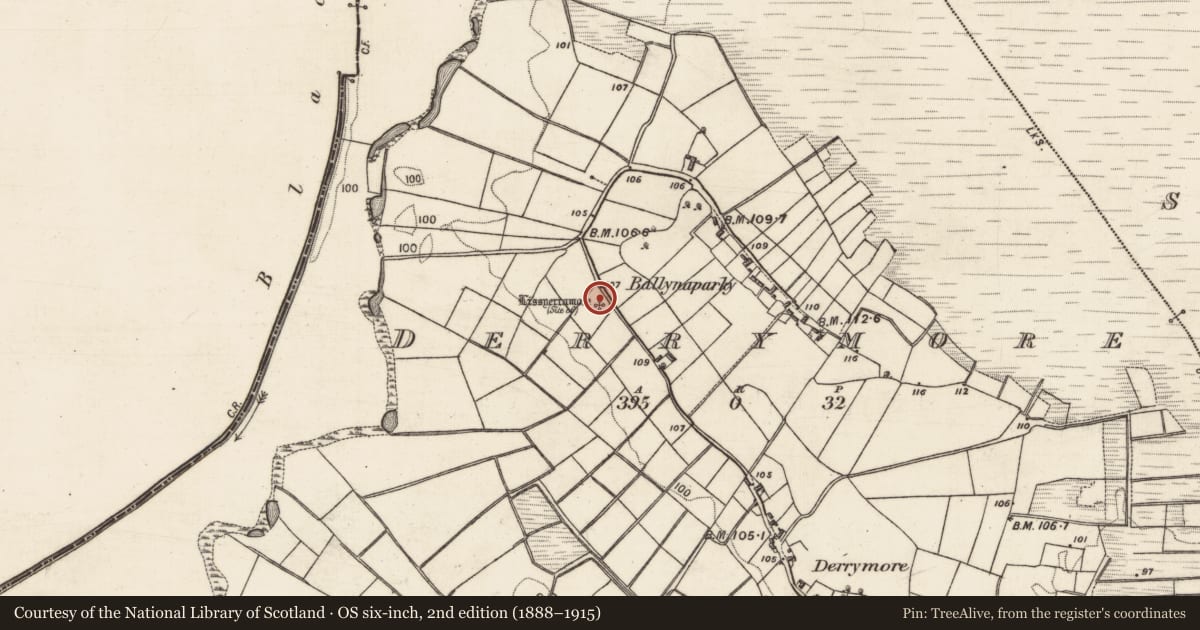 Ordnance Survey six-inch map, 2nd edition (1888–1915) covering the location of Ringfort - rath, Derrymore, County Galway, with a pin at the register's coordinates