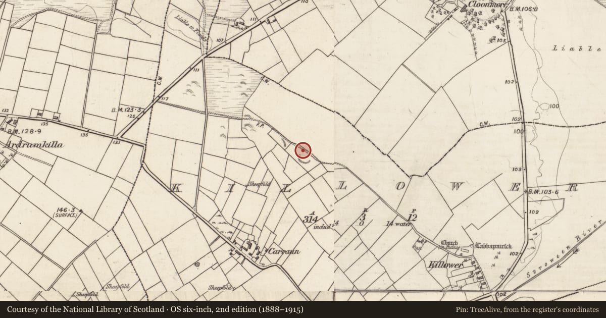 Ordnance Survey six-inch map, 2nd edition (1888–1915) covering the location of House - indeterminate date, Killower, County Galway, with a pin at the register's coordinates