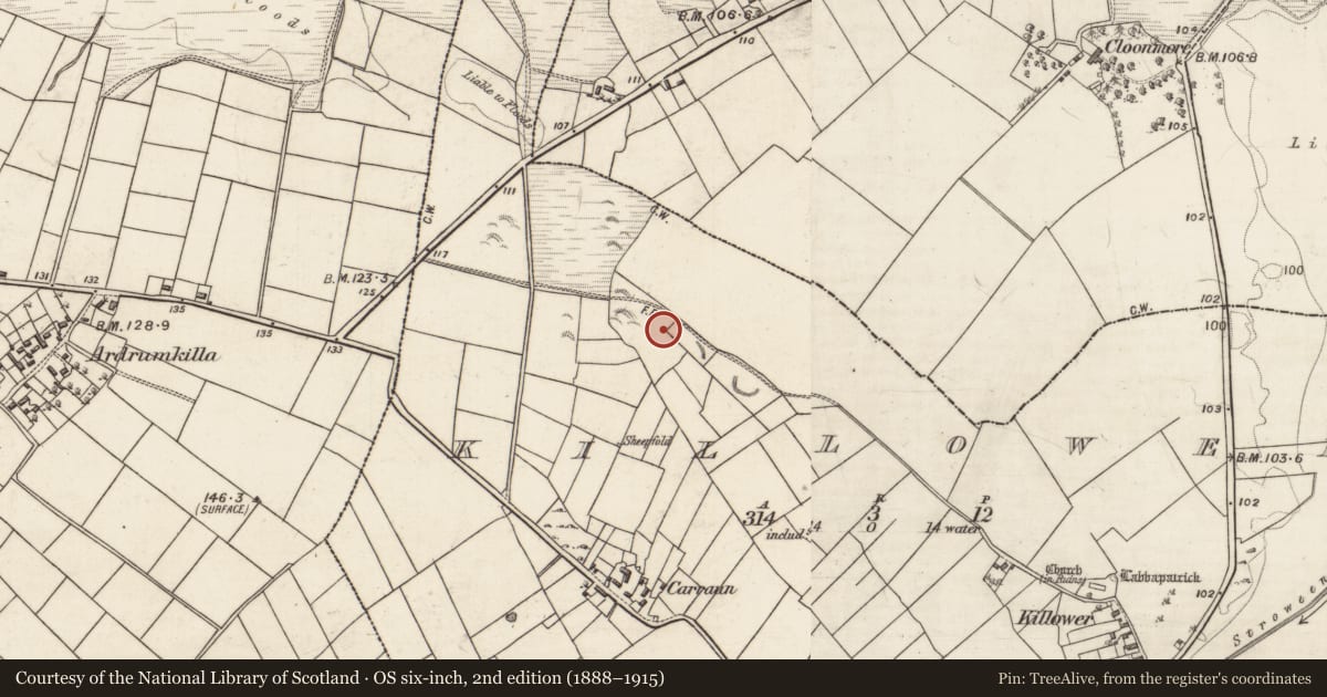 Ordnance Survey six-inch map, 2nd edition (1888–1915) covering the location of Ringfort - unclassified, Killower, County Galway, with a pin at the register's coordinates