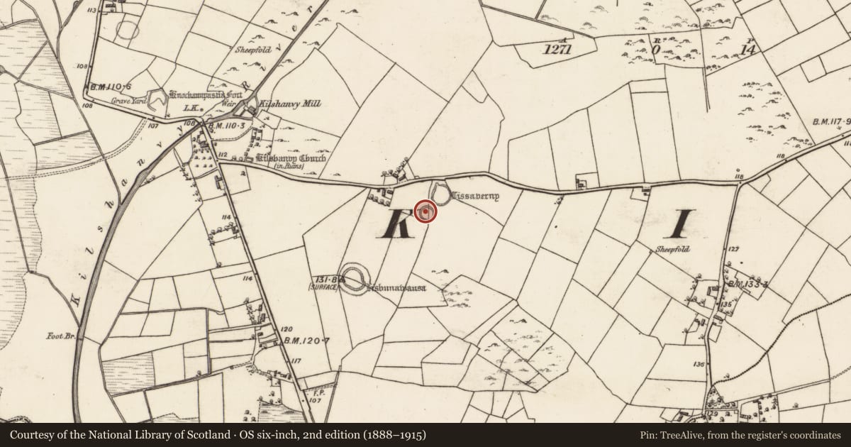 Ordnance Survey six-inch map, 2nd edition (1888–1915) covering the location of Ringfort - rath, Kilshanvy, County Galway, with a pin at the register's coordinates