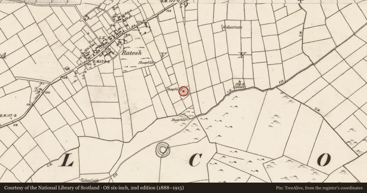 Ordnance Survey six-inch map, 2nd edition (1888–1915) covering the location of House - indeterminate date, Kilshanvy, County Galway, with a pin at the register's coordinates
