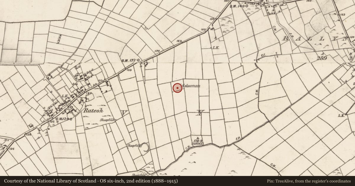Ordnance Survey six-inch map, 2nd edition (1888–1915) covering the location of Ringfort - cashel, Kilshanvy, County Galway, with a pin at the register's coordinates