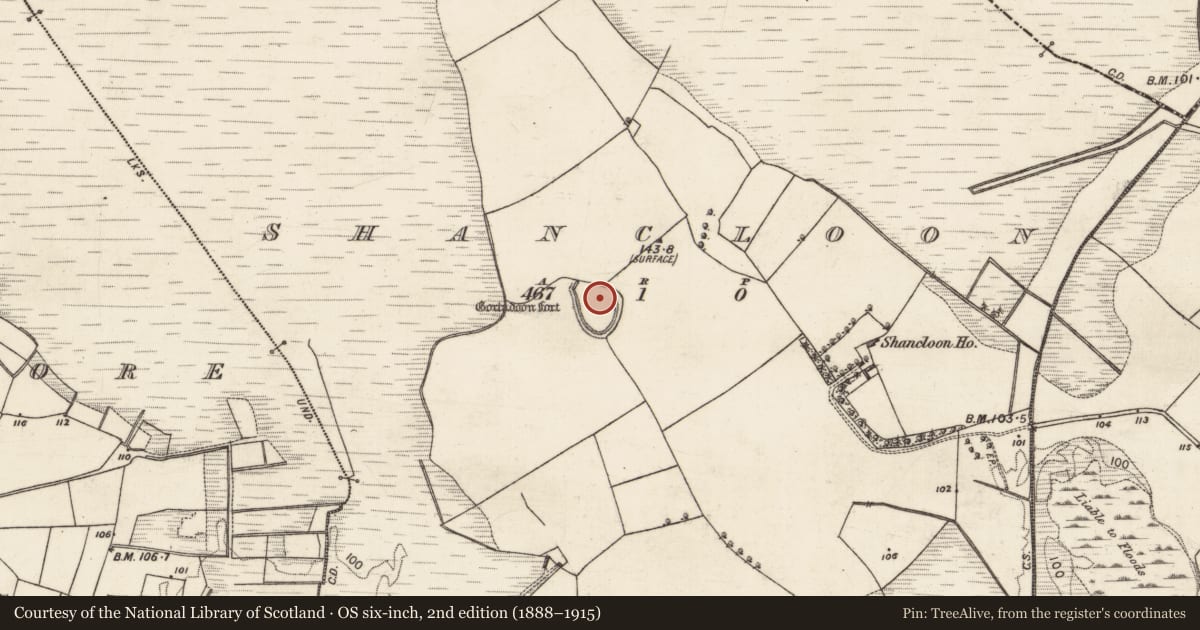 Ordnance Survey six-inch map, 2nd edition (1888–1915) covering the location of Ringfort - rath, Shancloon, County Galway, with a pin at the register's coordinates