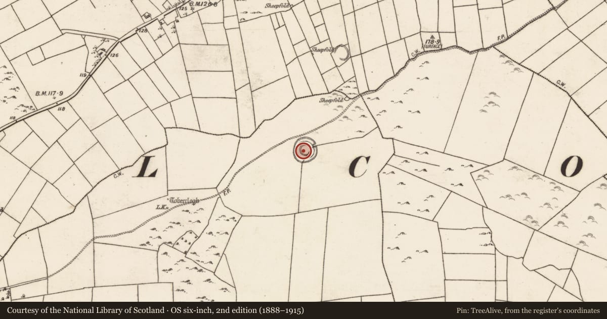Ordnance Survey six-inch map, 2nd edition (1888–1915) covering the location of Ringfort - rath, Toberroe, County Galway, with a pin at the register's coordinates